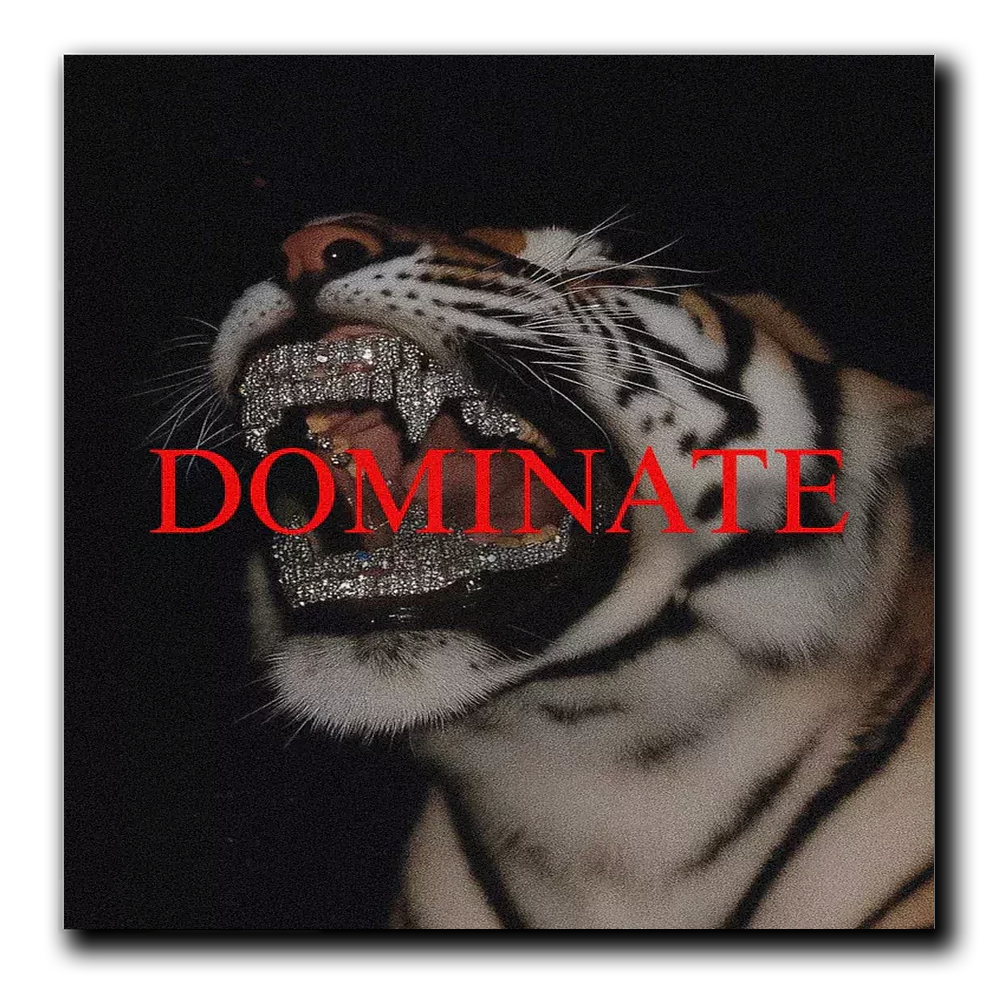 Dominate Acrylic Plaque