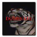 Dominate Acrylic Plaque