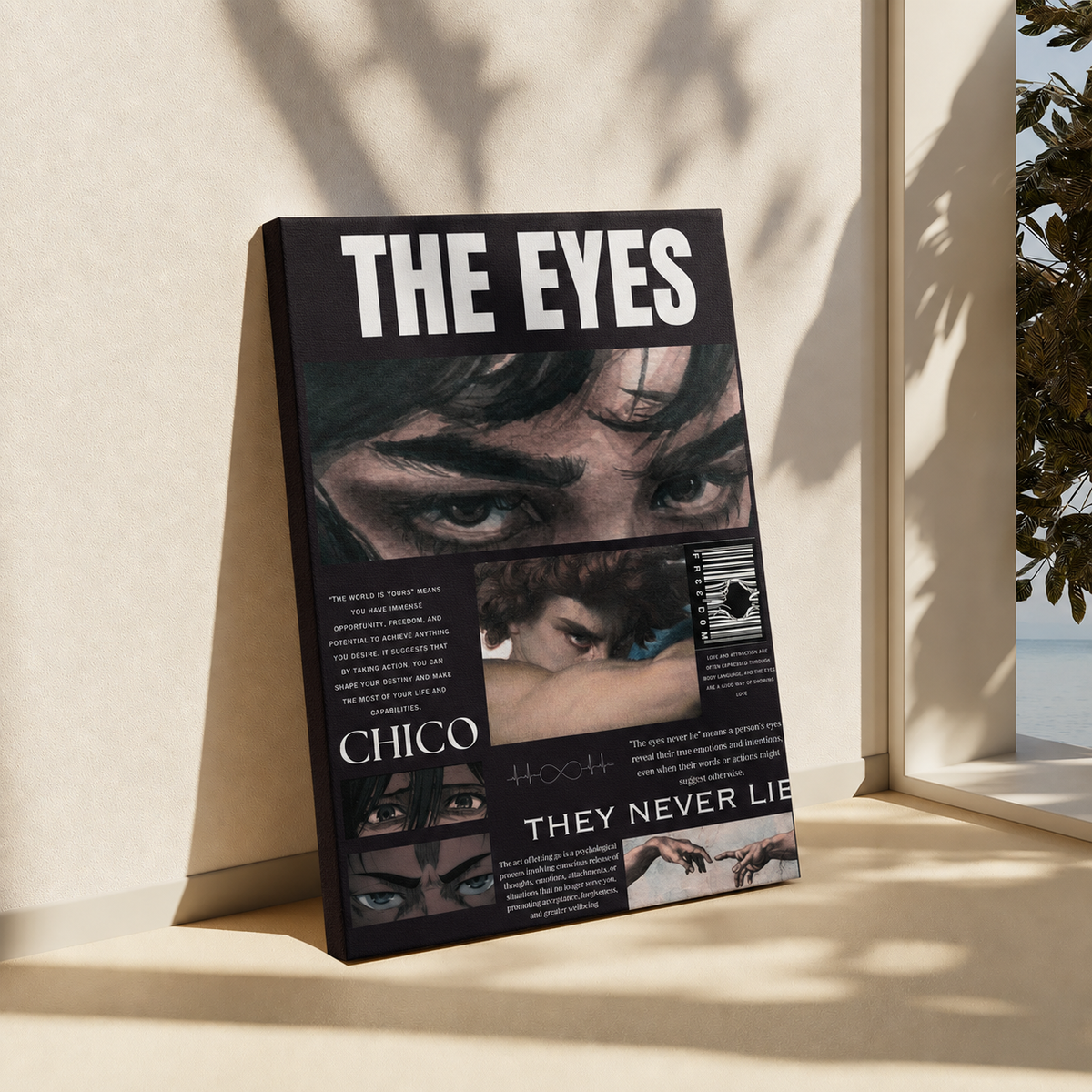 A book titled 'THE EYES' by Chico leans against a beige wall in a sunlit room, with window light casting shadows on the surface and wall. The cover is predominantly black with white text and multiple close-up eye photographs.