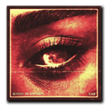 Through the Eyes Acrylic Plaque