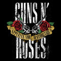 Guns N' Roses Stone Canvas