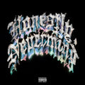 Honestly Nevermind Acrylic Plaque