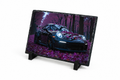 Porche Stone Canvas